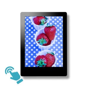 2.4 Inch TFT Display Module, 240x320 Pixels, IPS, Capacitive Touch